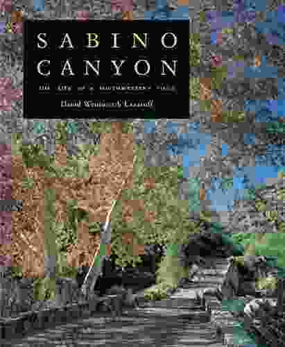 Sabino Canyon: The Life Of A Southwestern Oasis