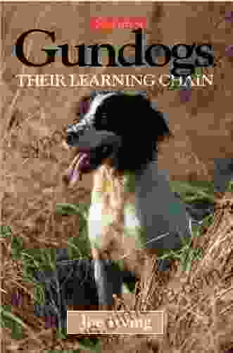 Gundogs their learning chain Joe Irving