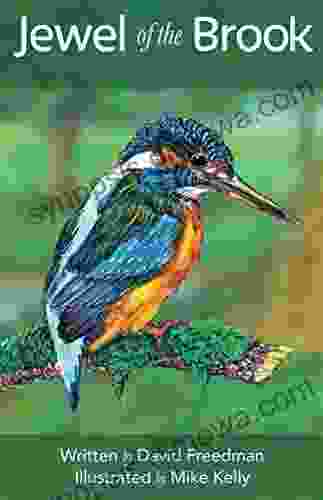 Jewel Of The Brook: The Kingfisher S Tale