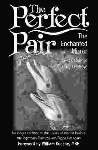 The Perfect Pair: The Enchanted Mirror: The Enchanted Mirror (The Perfect Pair Dolphin Trilogy 1)