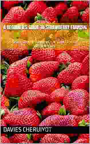 A BEGINNER S GUIDE TO STRAWBERRY FARMING: Learn step by step guide on how to plant strawberries (Farm management)