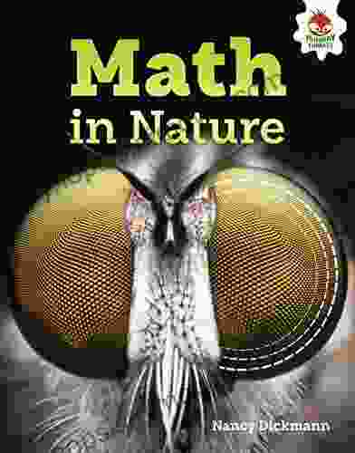 Math In Nature (The Amazing World Of Math)