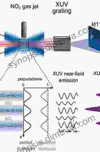 Polarized Light in Optics and Spectroscopy