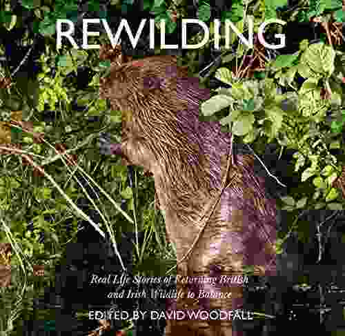 Rewilding: Real Life Stories Of Returning British And Irish Wildlife To Balance