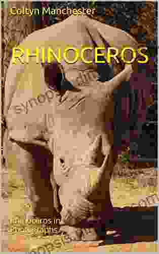 Rhinoceros: Rhinoceros in Photographs Wolfgang Daunicht