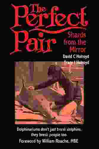 The Perfect Pair: Shards from the Mirror: Shards from the Mirror (The Perfect Pair Dolphin Trilogy 3)