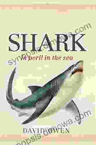 Shark: In peril in the sea