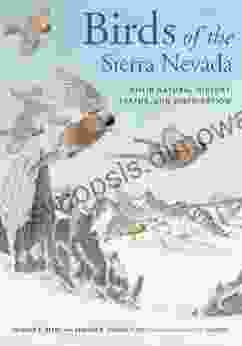 Birds Of The Sierra Nevada: Their Natural History Status And Distribution