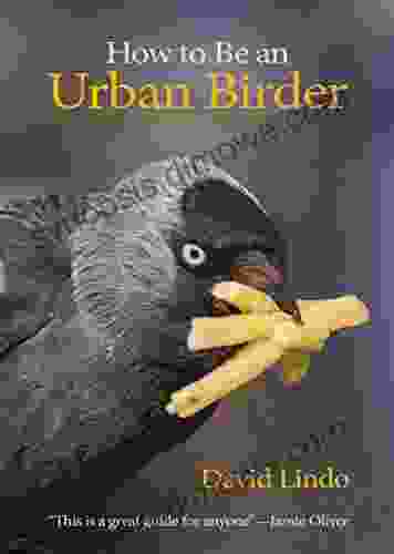 How To Be An Urban Birder (WILDGuides 33)