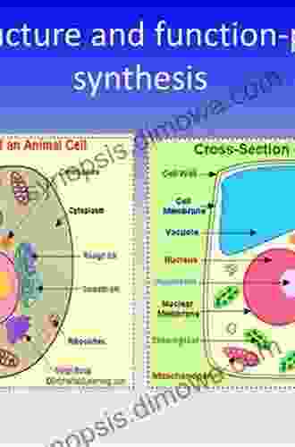 The Porphyrins V1: Structure And Synthesis Part A