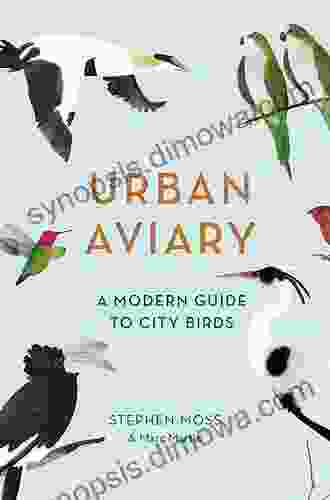 Urban Aviary: A modern guide to city birds